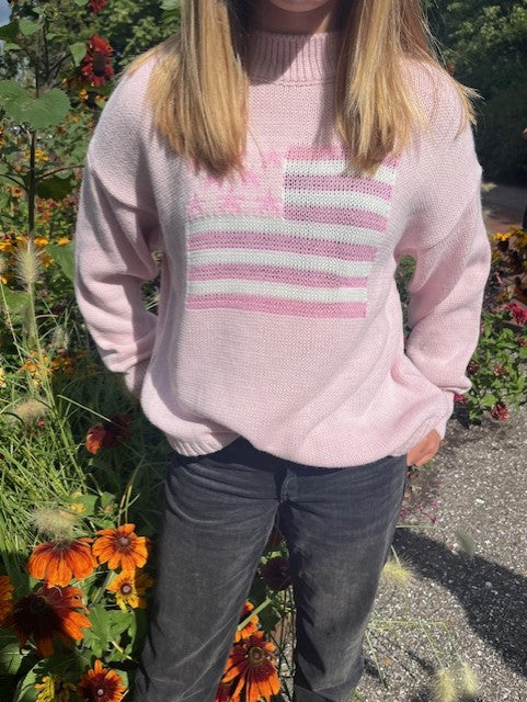 "USA" sweater pink