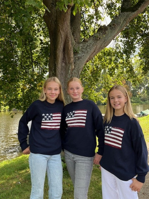 "USA" sweater navy