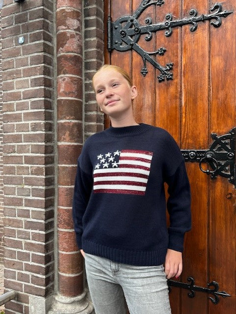 "USA" sweater navy